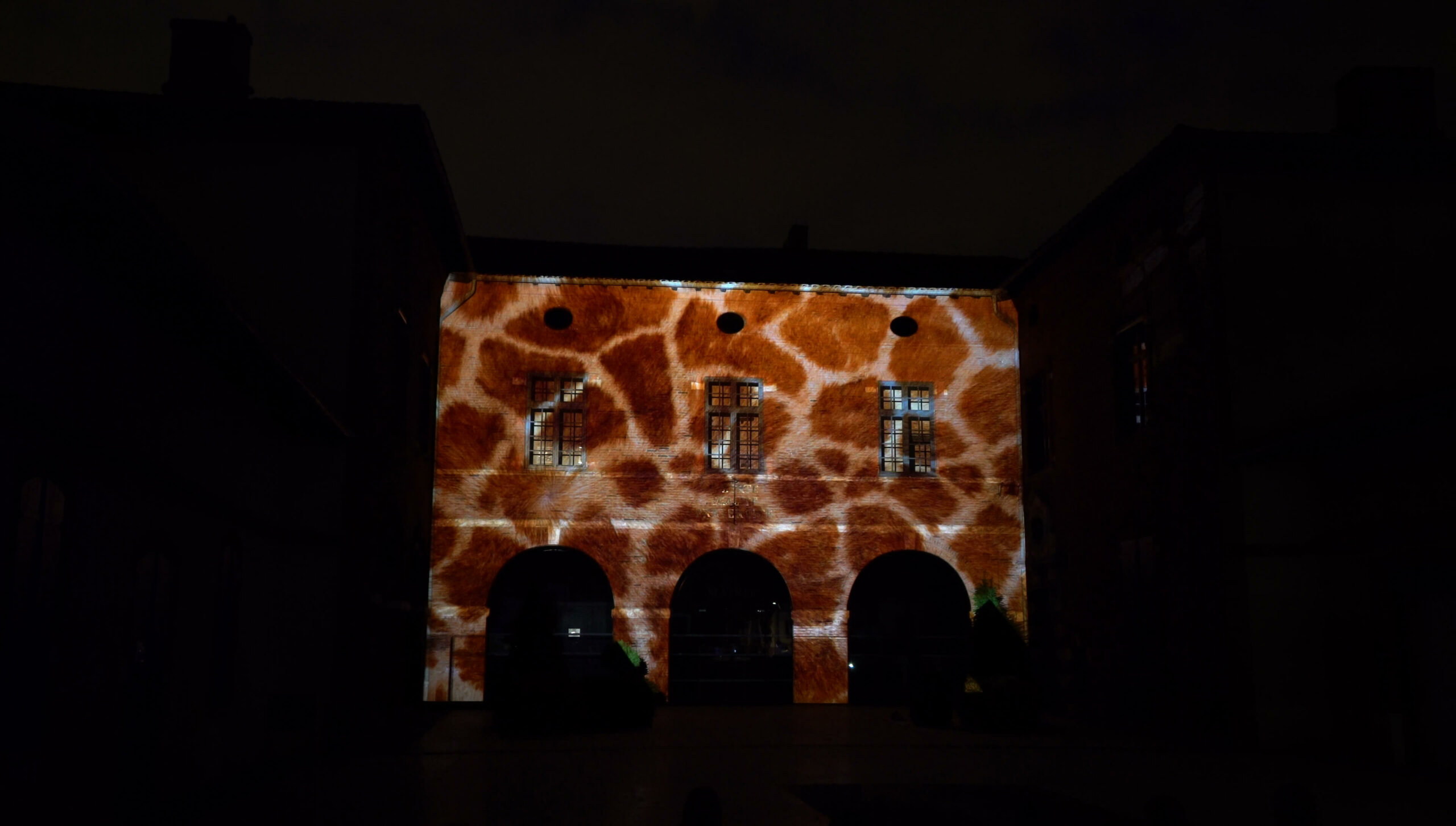 Mapping vidéo - Naturalis - Tournefeuille